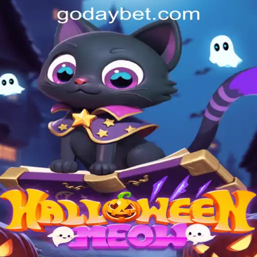 Unveiling HalloweenMeow: A Spooky Adventure with Daybet Twists