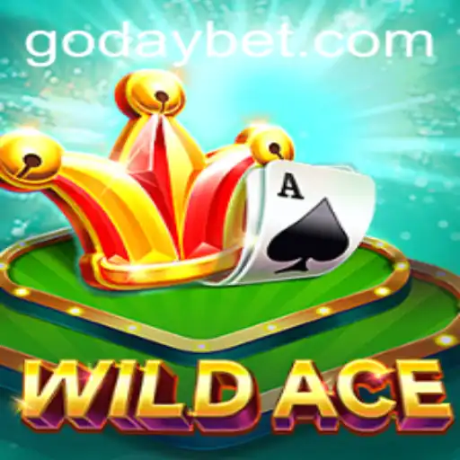 WildAce Game Revolutionizes Casual Gaming
